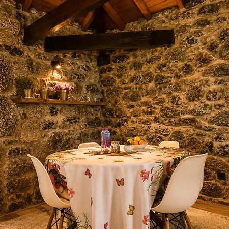 Open Space Com Jacuzzi A 5 Mn Do Centro De Lamego
