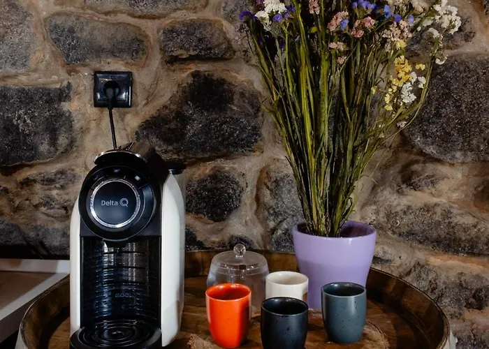 Open Space Com Jacuzzi A 5 Mn Do Centro De Holiday home Lamego